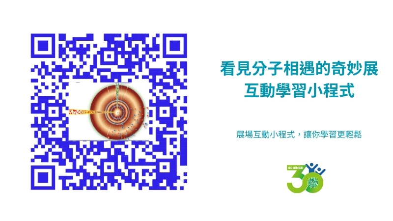看見分子相遇的奇妙展